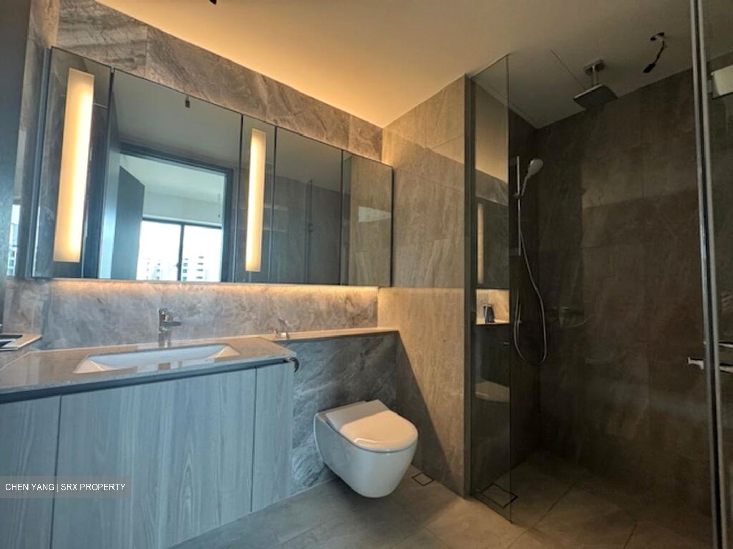 Piccadilly Grand (D8), Apartment #506186871